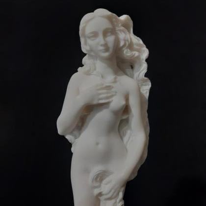 Birth Of Aphrodite Venus Greek Roman Goddess..