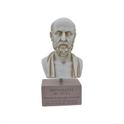 Hippocrates Bust Head Sculpture On Base Ancient..