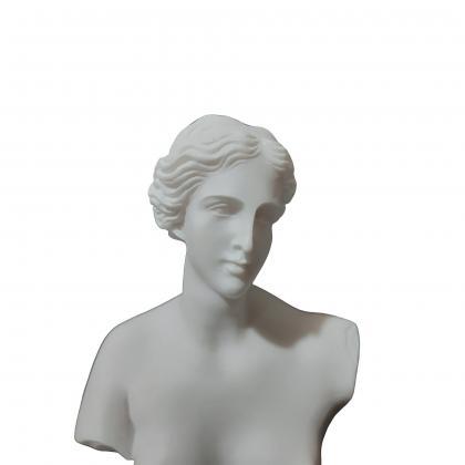 Venus Aphrodite Greek Roman God Bust Sculpture..