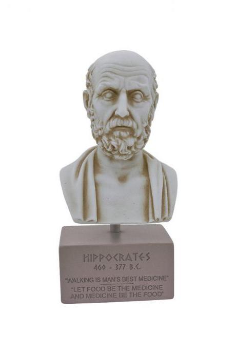 Hippocrates Bust Head Sculpture On Base Ancient Greek Physician Handmade Alabaster Figurine Statue 18cm