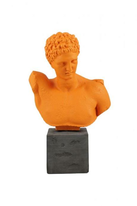 Hermes God Bust Head Statue Pop Art